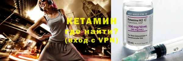 стаф Ельня