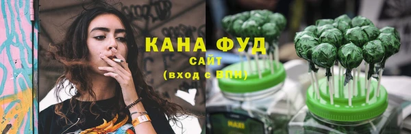 стаф Ельня