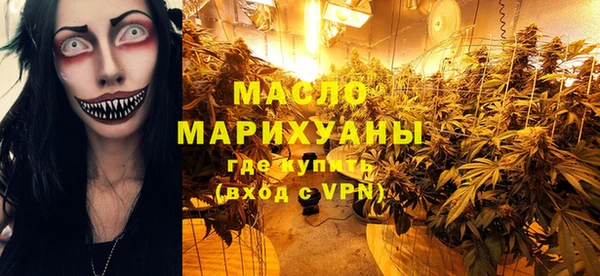 стаф Ельня