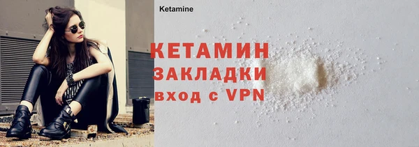 стаф Ельня