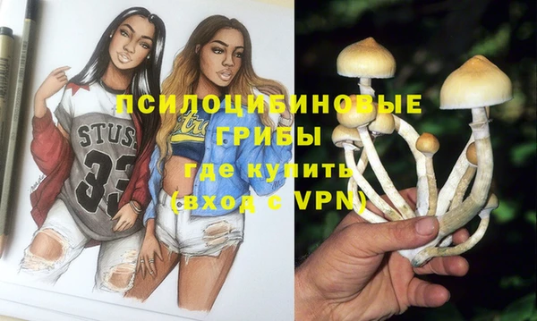 спайс Елизово