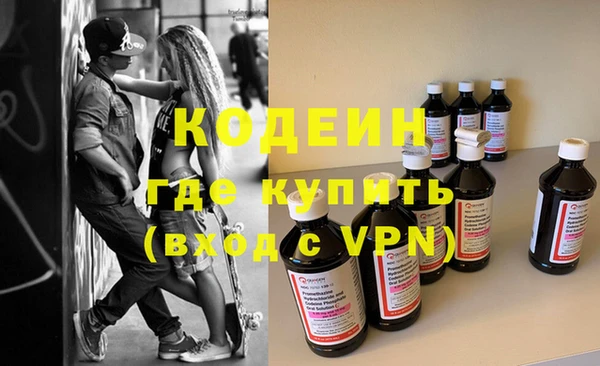 стаф Ельня