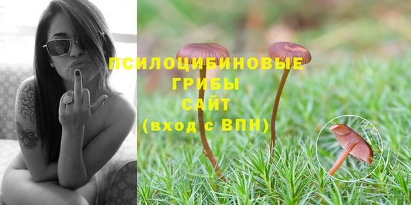 СК Елабуга