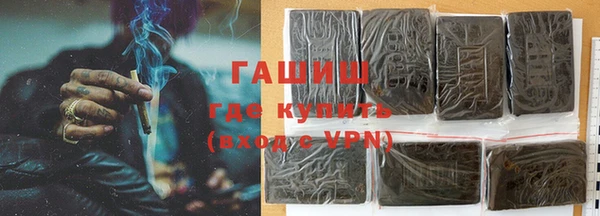 стаф Ельня