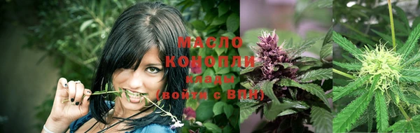 СК Елабуга