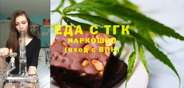 стаф Ельня