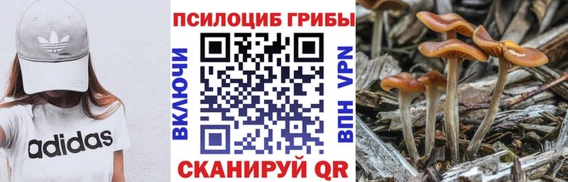 Купить где  Николаевск  Галлюциногенные грибы прущие грибы 